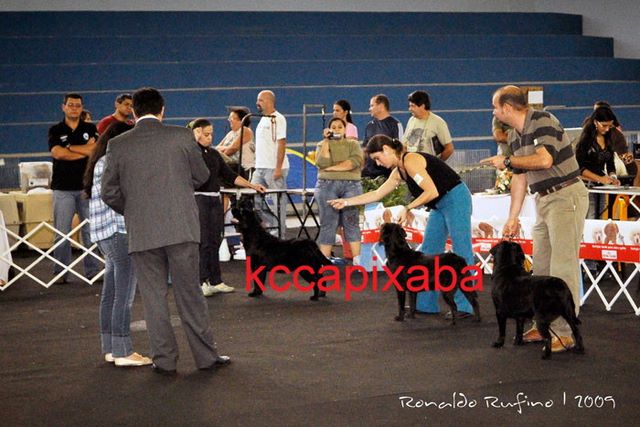 Clique sobre a foto para fechar